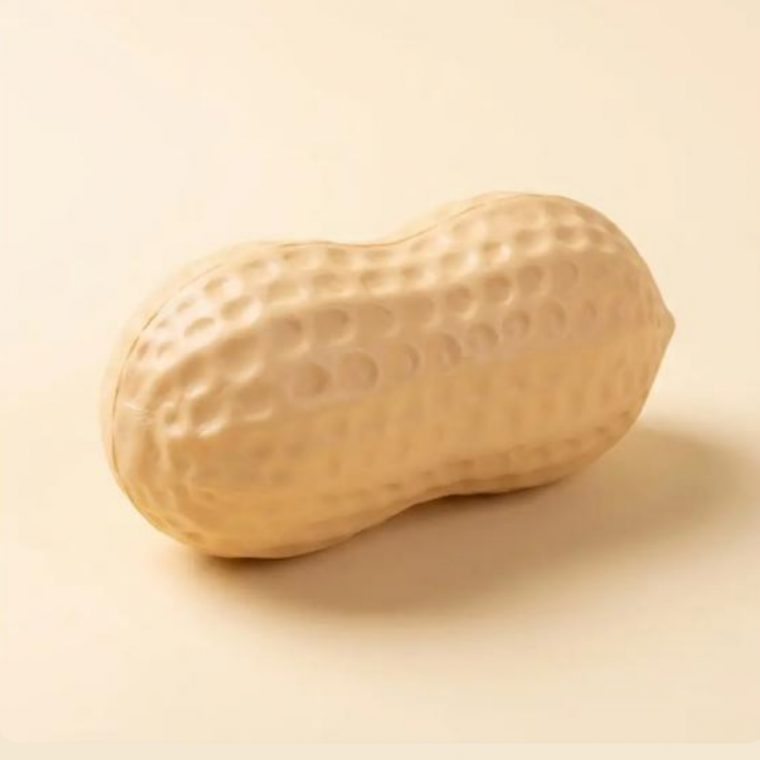 땅콩 크런치 슬랑이 말랑이 스퀴시 촉감 바삭 장난감