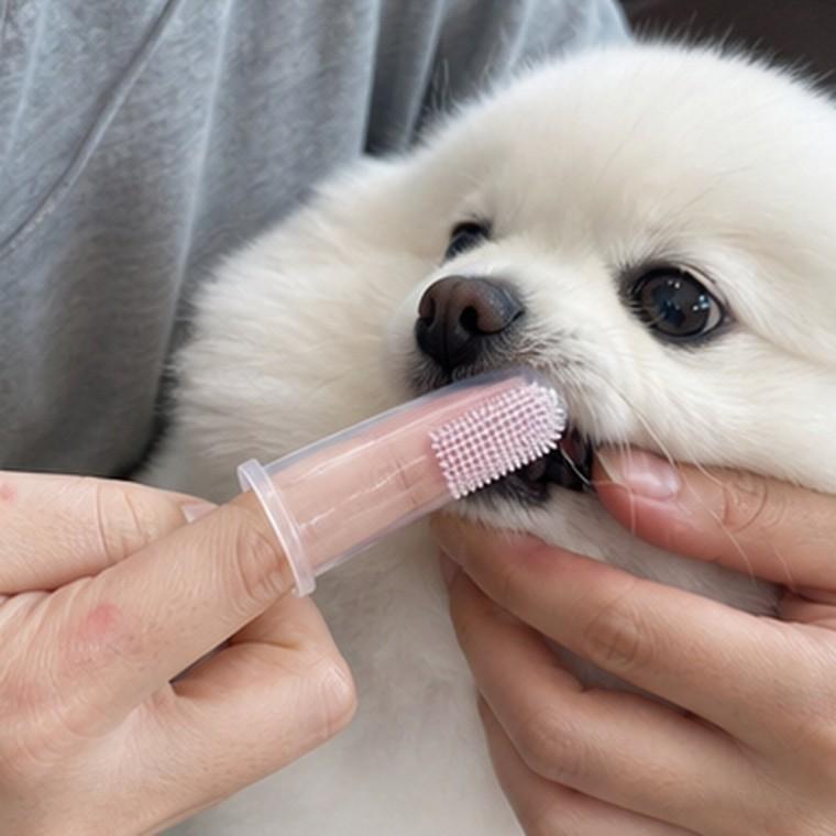 강아지 손가락 칫솔 실리카겔 투명 부드러운 양치 잇몸 마사지 2P