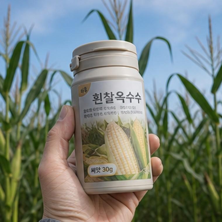 흰찰옥수수 씨앗 30g 발아율 85 이상 간식용 파종용