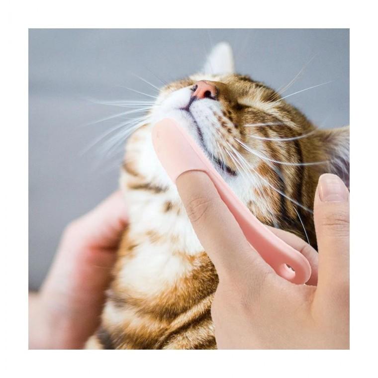 루미나D 고양이 브러쉬 블랙 가정용 데일리 미용 개인관리 휴대용