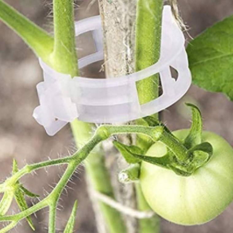 (50P) 식물 투명 고정클립 고정홀더 줄기고정 원예
