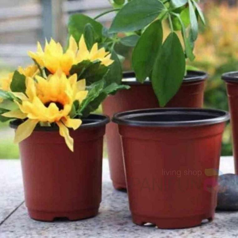 모종포트화분 15.5cm 귀여운화분 이쁜화분 베란다화분 예쁜화분 가드닝화분