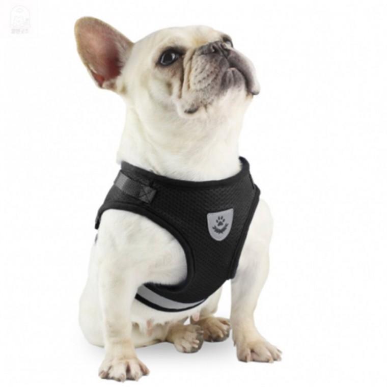 강아지 하네스 리드줄 소형견리드줄 소형견목줄 애견리드줄 강아지목줄 애견목줄