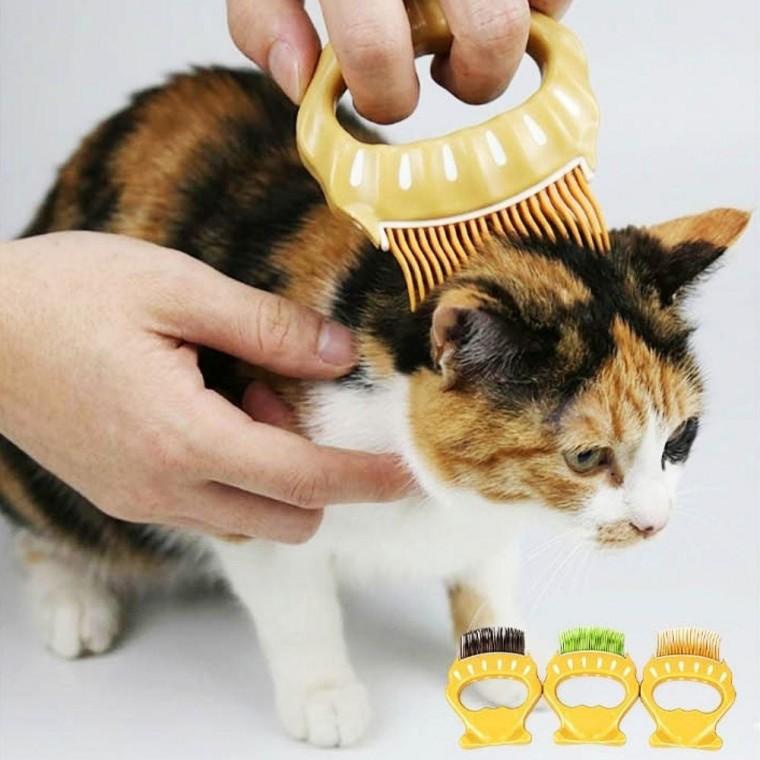 강아지 고양이 털갈이 빗 죽은털 제거 펫 브러쉬 반려동물 미용솔