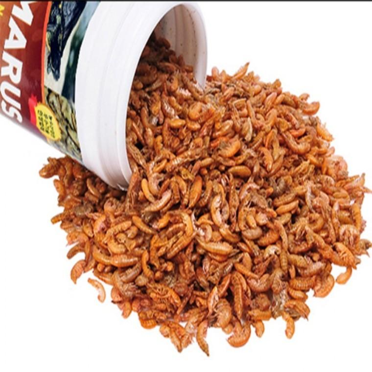 감마루스 30g 거북이사료새우 도마뱀먹이 거북이밥