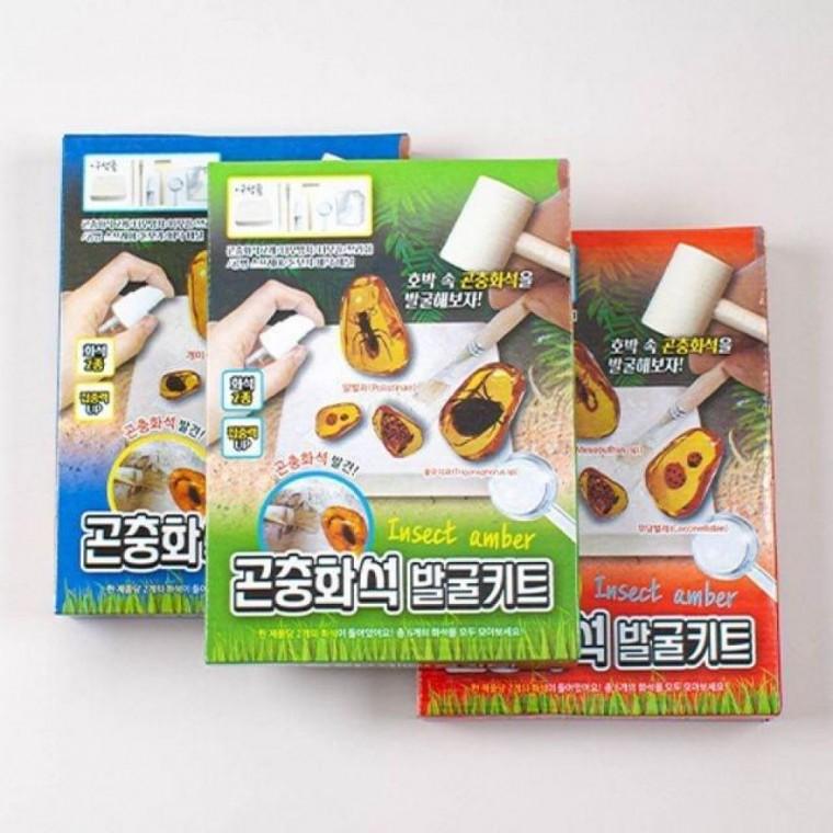 어린이 키즈 아동 호박 곤충 화석 발굴 키트 장난감