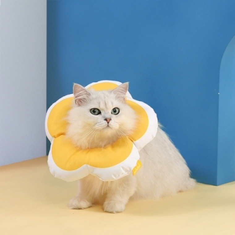 힐링타임 키티요요 넥카라 옐로우 S