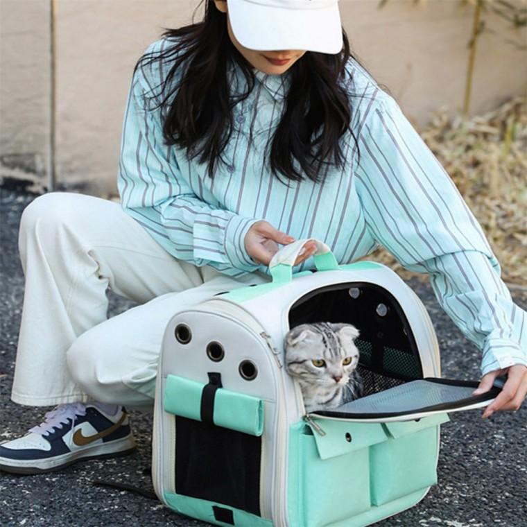 반려동물 백팩 이동가방 민트 반려동물 휴대가방
