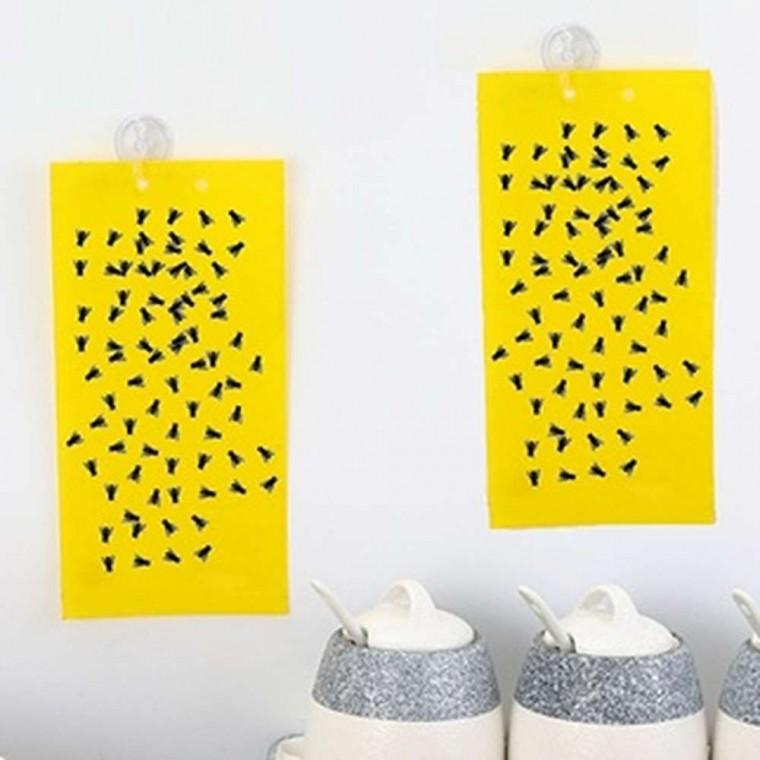 초파리 트랩 20x25cm 초파리잡는법 날파리없애는법 하루살이트랩