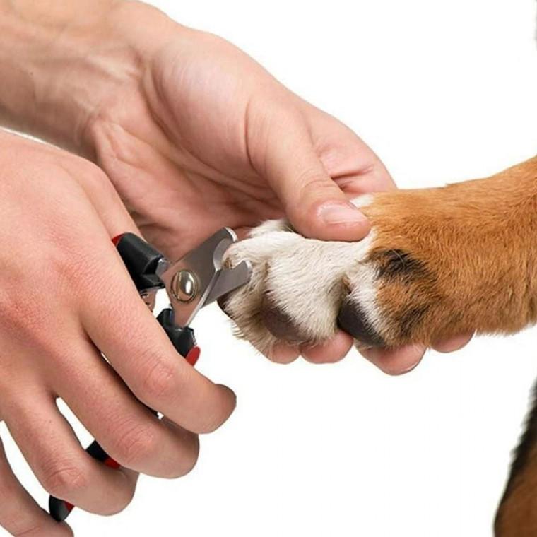 반려동물 발톱깍이 강아지 고양이 손톱 네일 클리버 애견 동물 가위 클리버 깍이 기 고양이 강아지