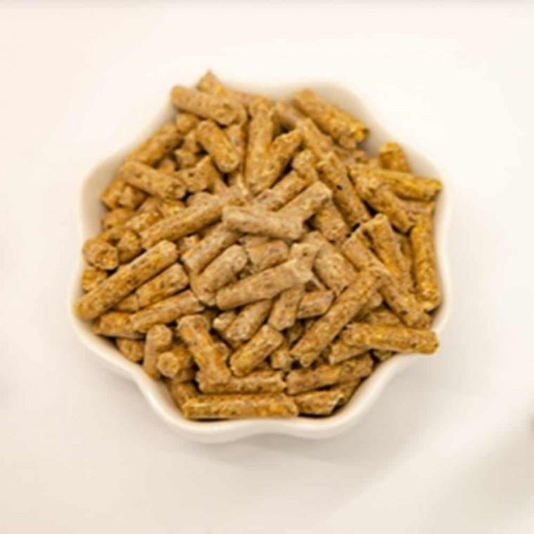어린토끼용 사료 1.1Kg 자토용 애완용토끼 영양사료 소동물사료 토끼간식 반려토끼