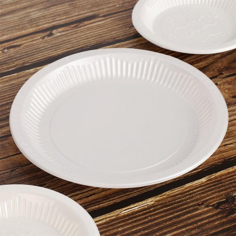 일회용 접시 10개 25cm 소풍용접시