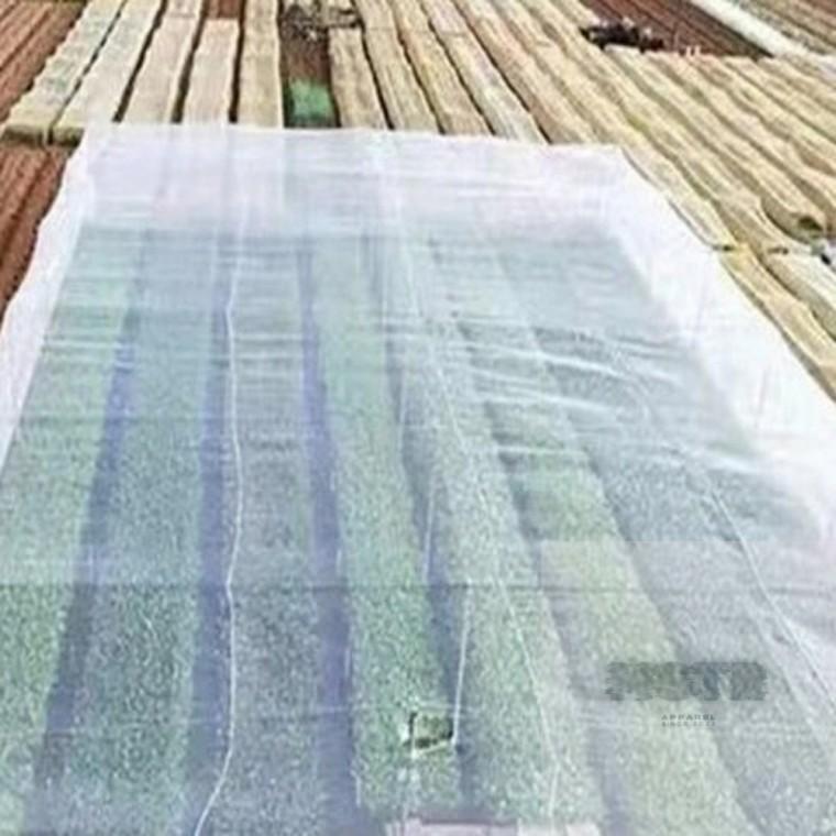 한랭사 농작물보호망 2x5m 한냉사 울타리그물망 비닐하우스보온 하우스망 새그물망