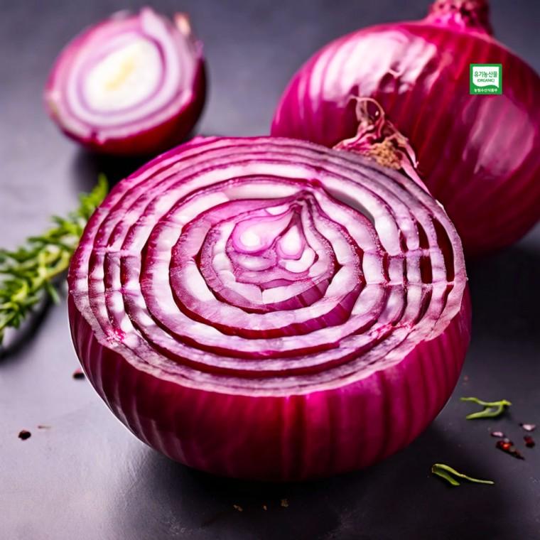 국내산 아삭신선 유기농 자색 적양파 2kg 4kg