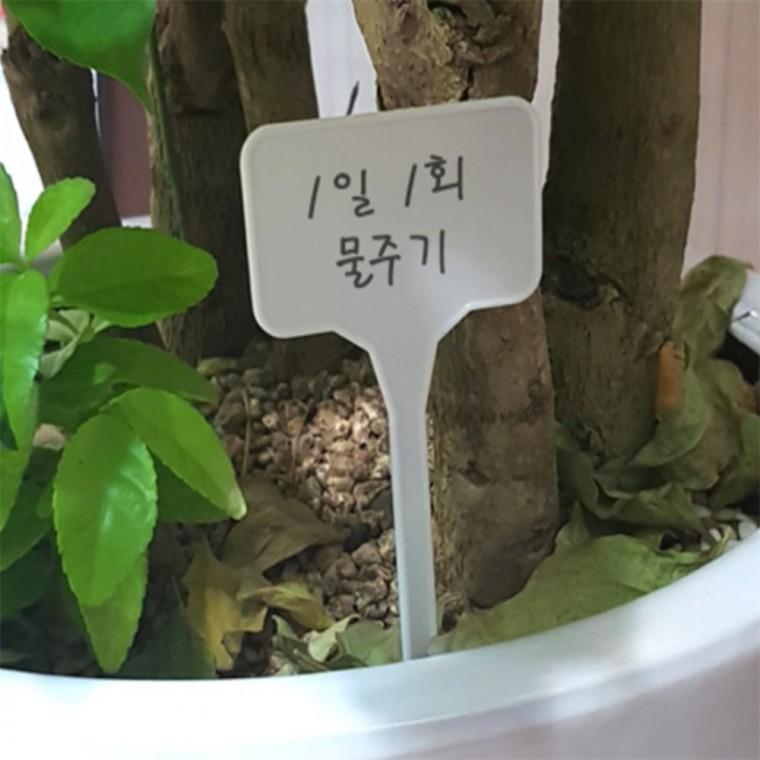 작물이름표 수목이름표 식물네임택 화분이름표