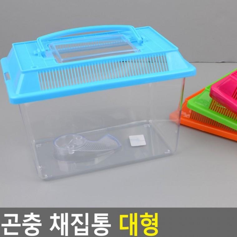 곤충 채집통 대형 어린이 케이스 플라스틱 손잡이 통기구 자연학습 야외 관찰 투명