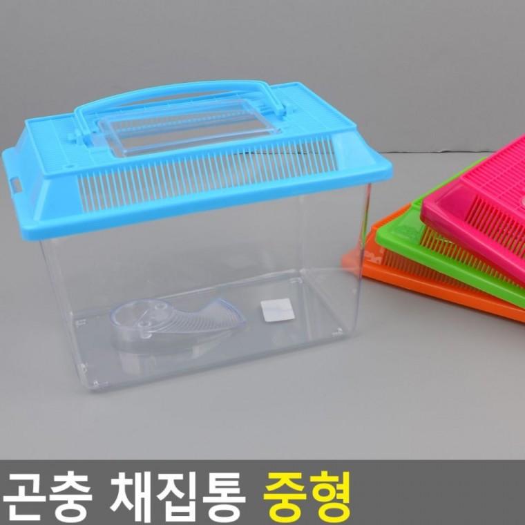 중형 곤충 관찰통 케이스 학습 탐구 어린이 자연 뚜껑 채집 투명 통풍 교육