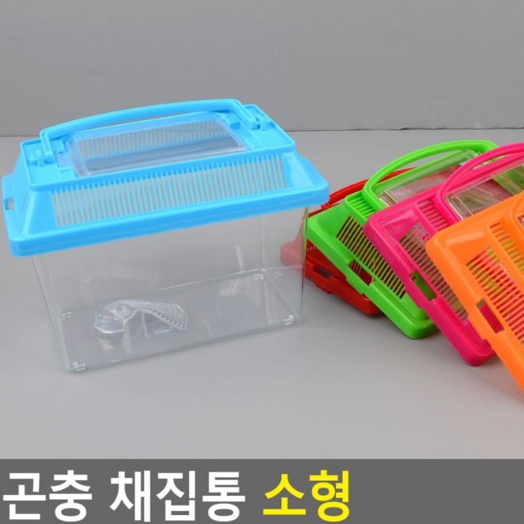 소형 곤충 관찰통 자연 탐구 교육 채집 투명 통풍 뚜껑 학습 어린이 케이스