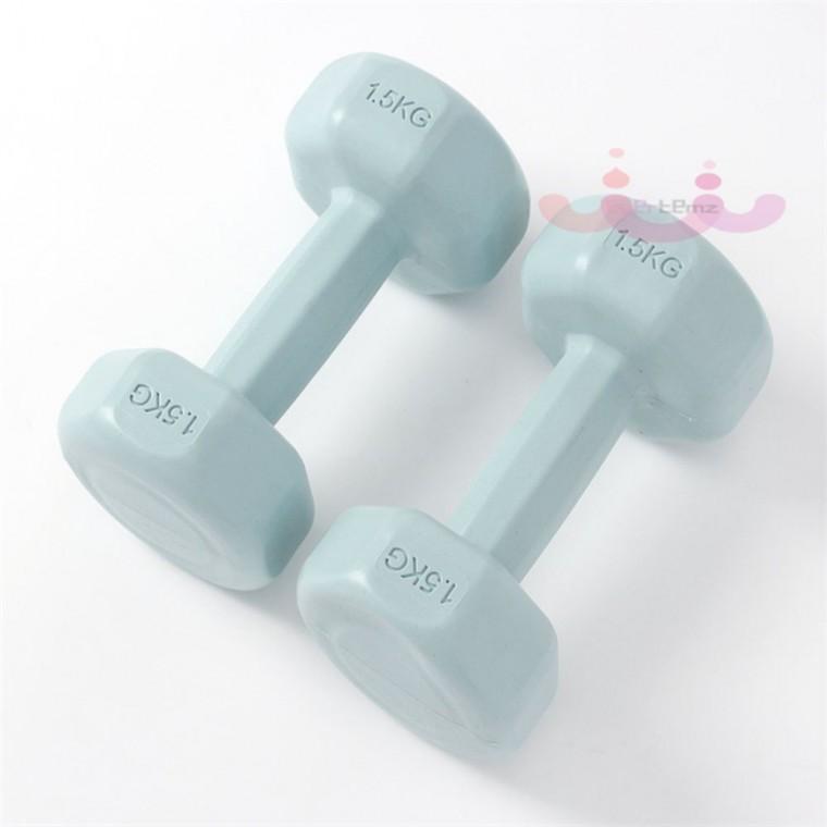 홈트 육각덤벨 2P 1.5kg 블루 운동용품 미용아령 헬스용품