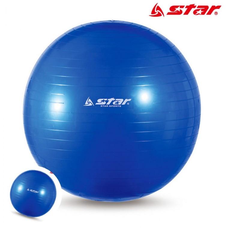 마사지공 요가볼 가정용짐볼 마사지짐볼 필라테스짐볼 짐볼 55cm 블루