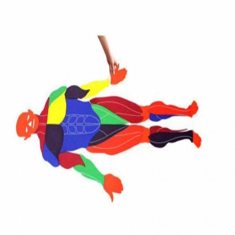 신체 근육퍼즐 과학키트 학교교구 수업교구 놀이키트 유치원교구