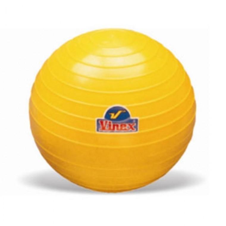 다우리 PVC 투포환 포환 던지기 공 실내외 겸용 4kg