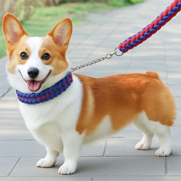 대형견 목줄 리드줄 로프리드줄 대형견산책줄 대형견목줄 개목줄 대형견줄