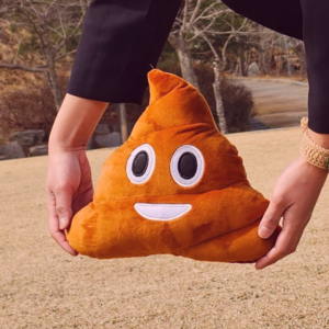 똥 인형 쿠션