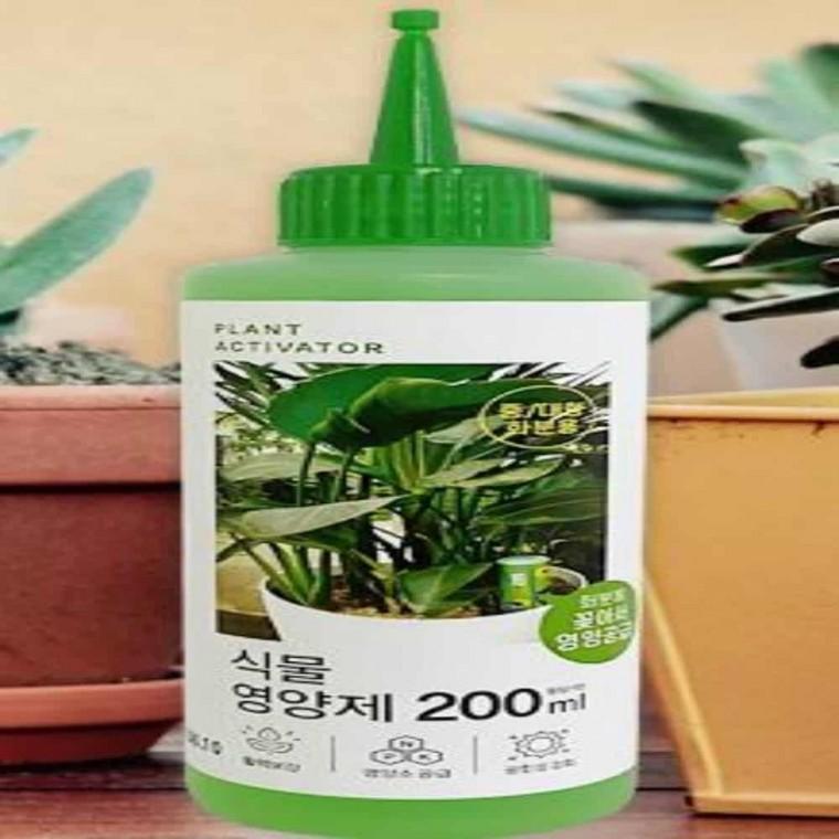 식물 영양제(200ml) 20개 식물생장촉진제 수목영양제 다육식물영양제 다육이영양제 선인장영양제 화초영양