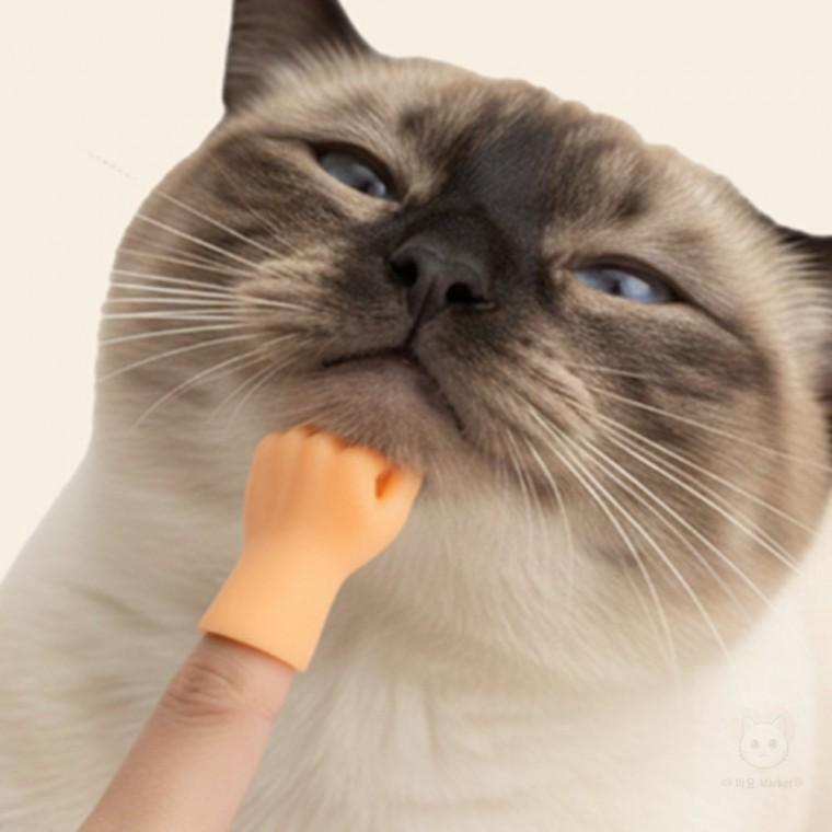 고양이 손가락장난감 고양이장남감 고양이놀이