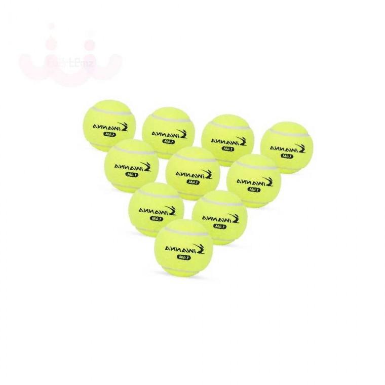 아이워너 테니스공 운동 테니스볼 운동공