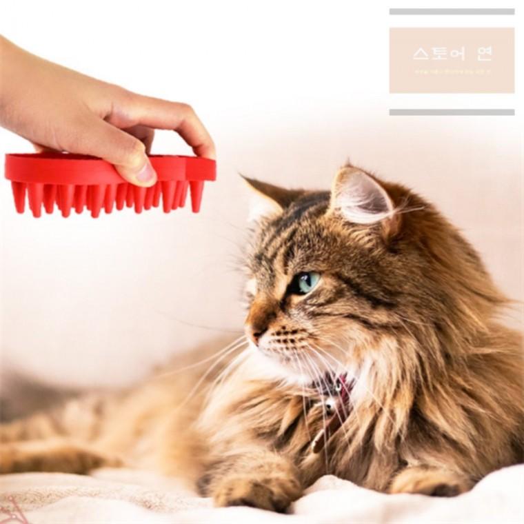연은마트 고양이 실리콘 빗 애견용품 강아지실리콘브러쉬