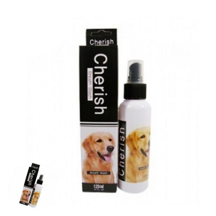 강아지양치 강아지입냄새제거 강아지이빨영양제 강아지치석관리 강아지치아관리 강아지 구강청정제 120ml