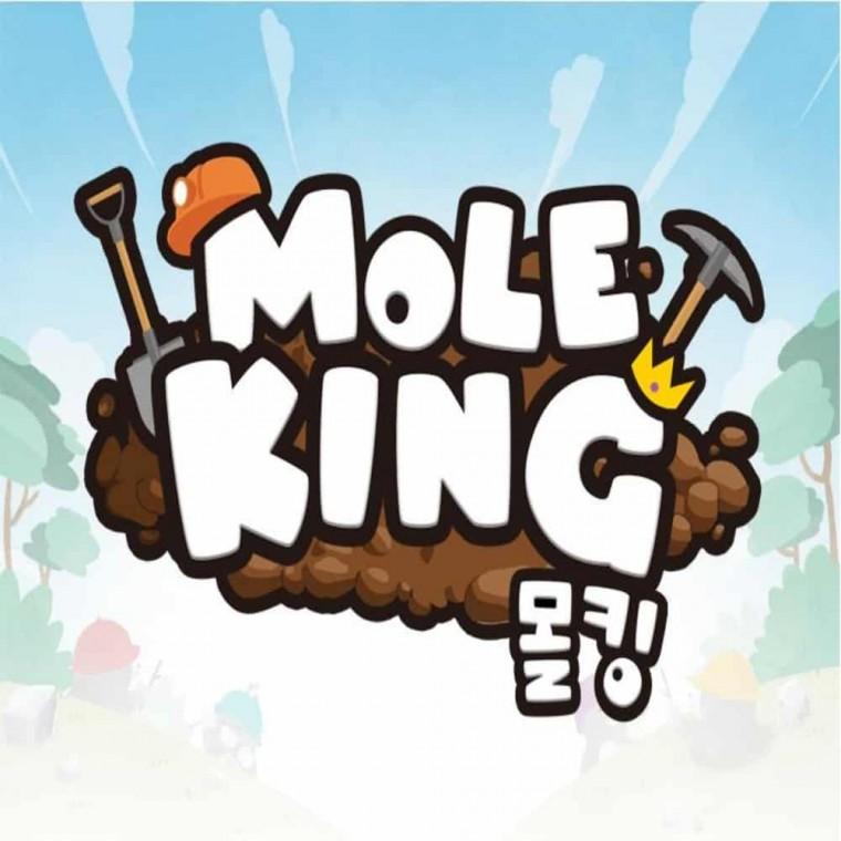 몰킹 보드게임 간단한보드게임 재미있는보드게임 2인보드게임 카드보드게임 4인보드게임