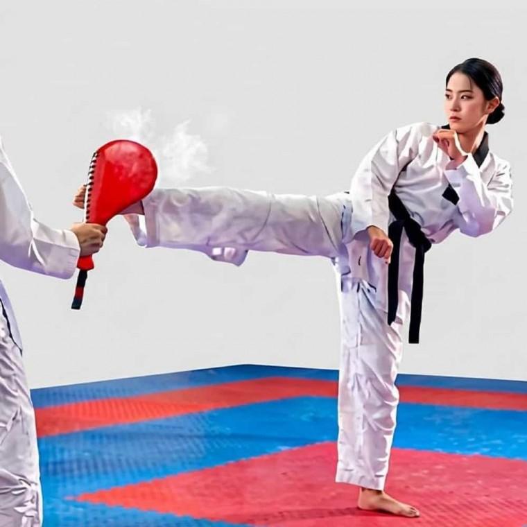 이중 태권도 발차기 미트 패드 복싱미트 손미트