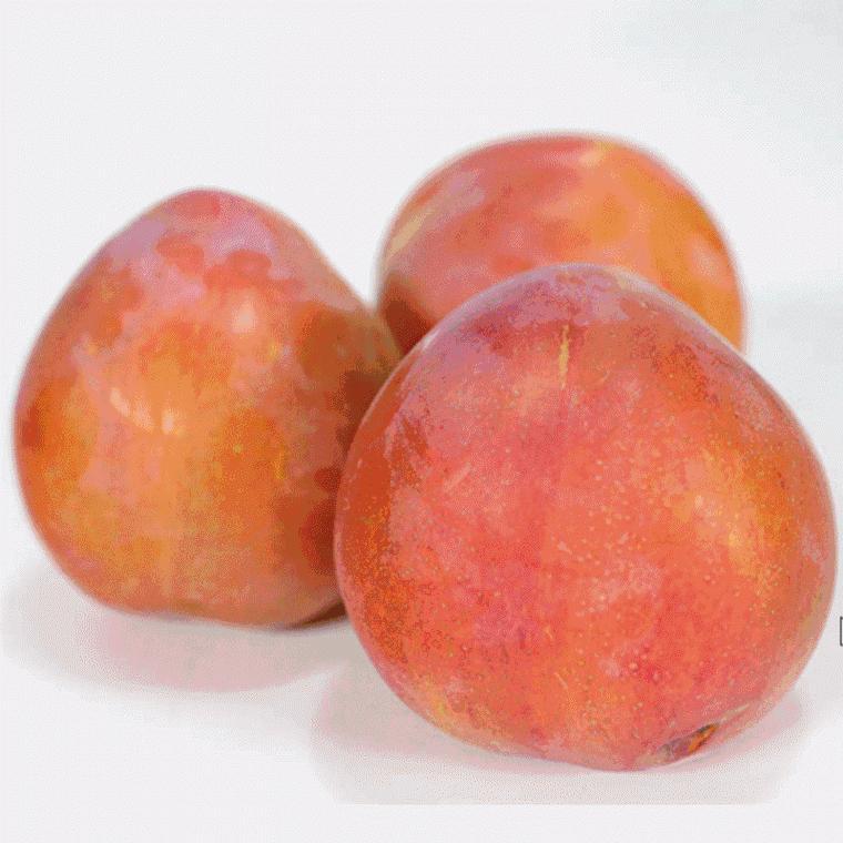 자두 후무사 대과 국내산 개당120g 2kg박스 의성 옥 plum