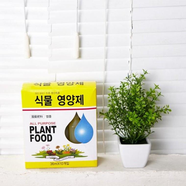 식물 영양제
