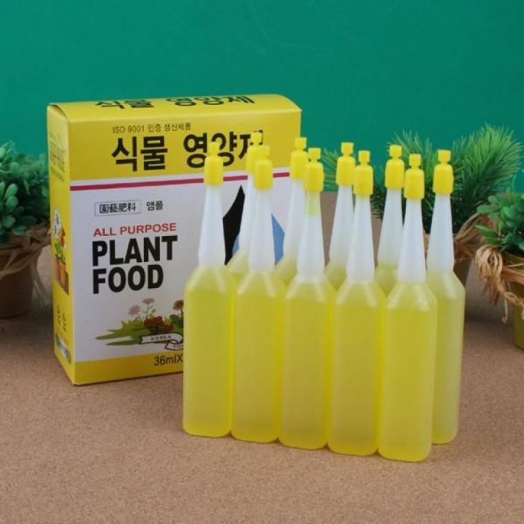난영양제 화초영양제 비료 수목영양제 식물영양제 10p