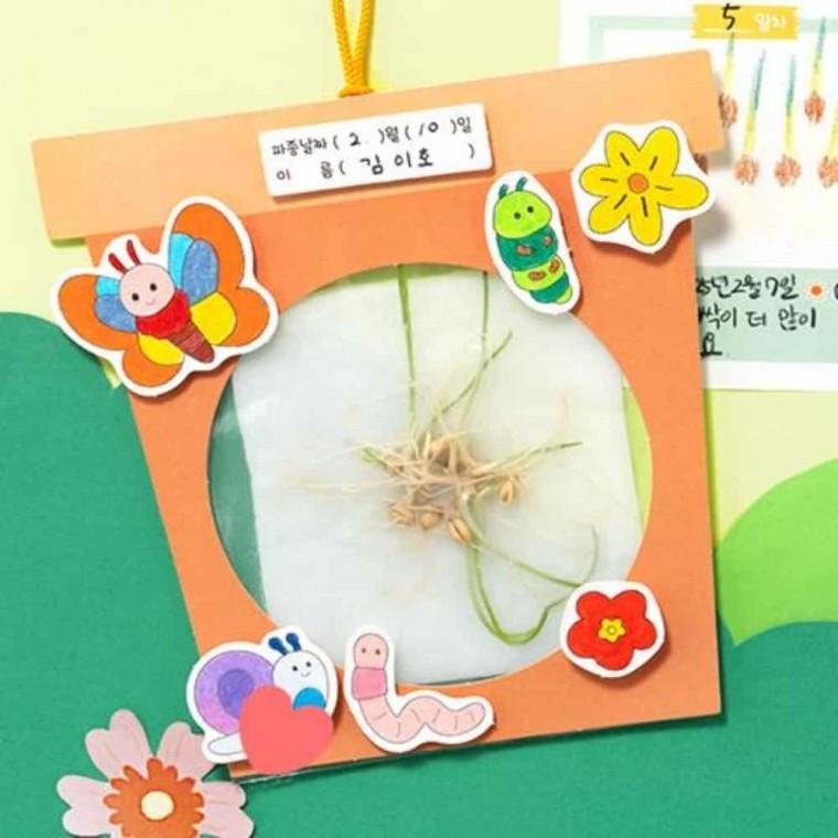 식물뿌리 관찰 키우기 어린이식물학습 과학교보재 과학교구 관찰실험 생물표본