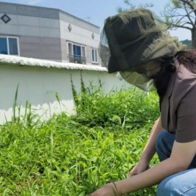 얼굴 모기장 그린 정글모자 벌초모자 모기모자 벌모자 방충망모자
