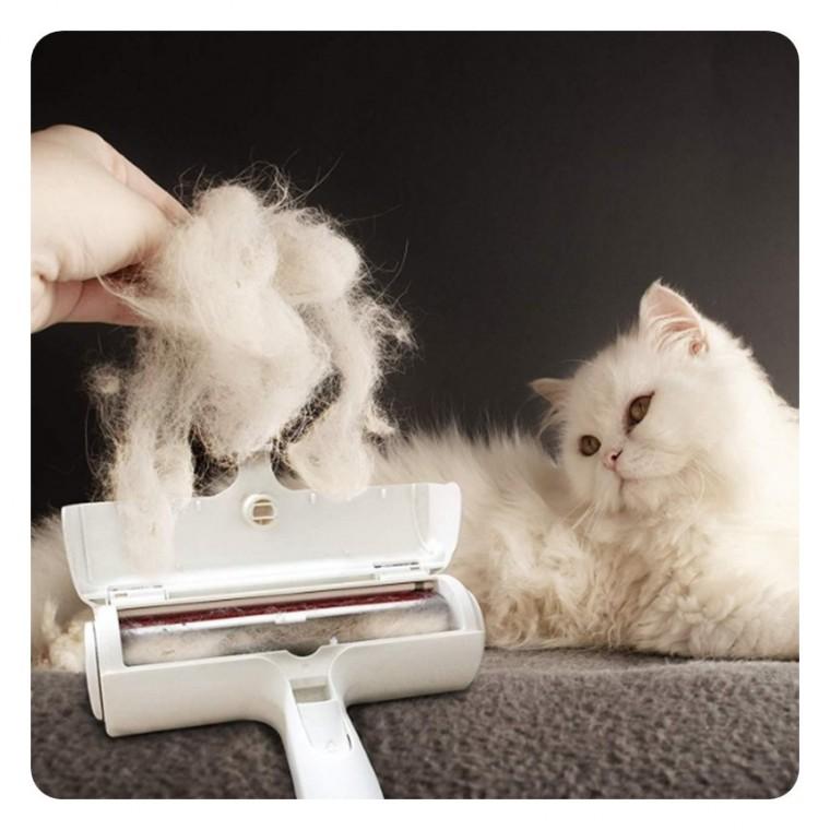 강아지 고양이 털빠짐 청소 돌돌이 클리닝 털제거기