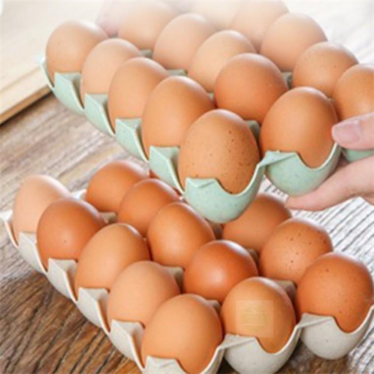 계란 정리판 15구 계란용기 계란보관함
