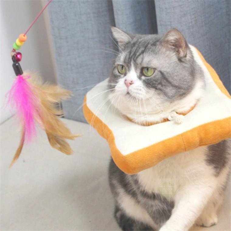 애완용 넥카라 애완견넥카라 반려견넥카라
