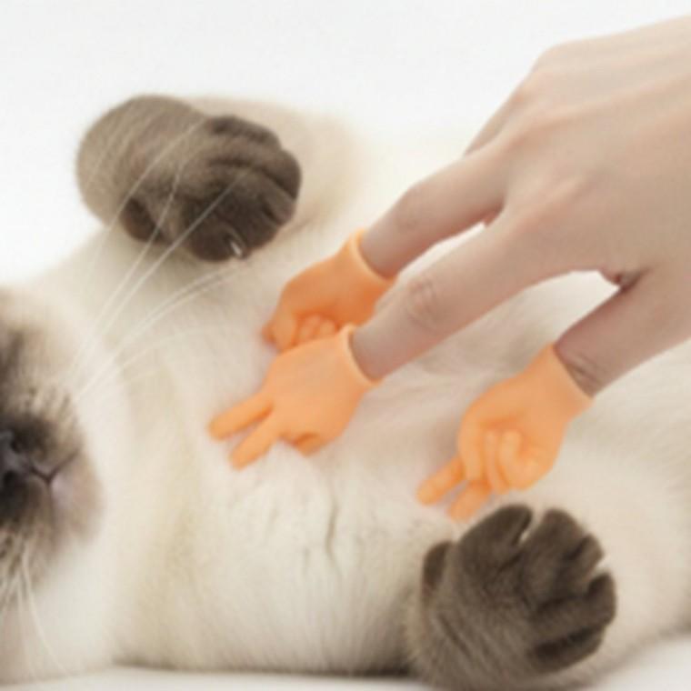 고양이 장난감 캣토이 실리콘 손가락 가짜손가락 고양이장난감 고양이놀이