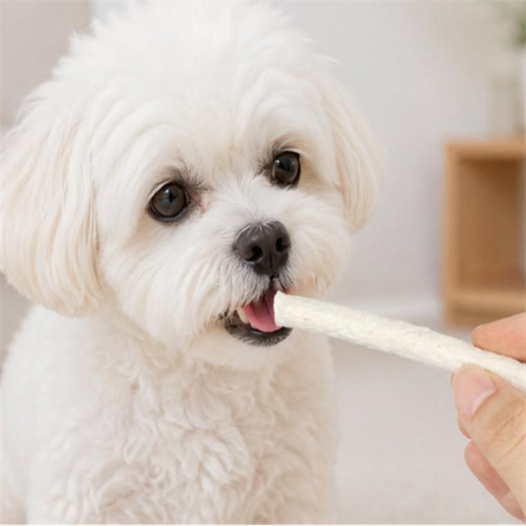 소형견개껌 강아지 덴탈껌 간식 스틱 25P