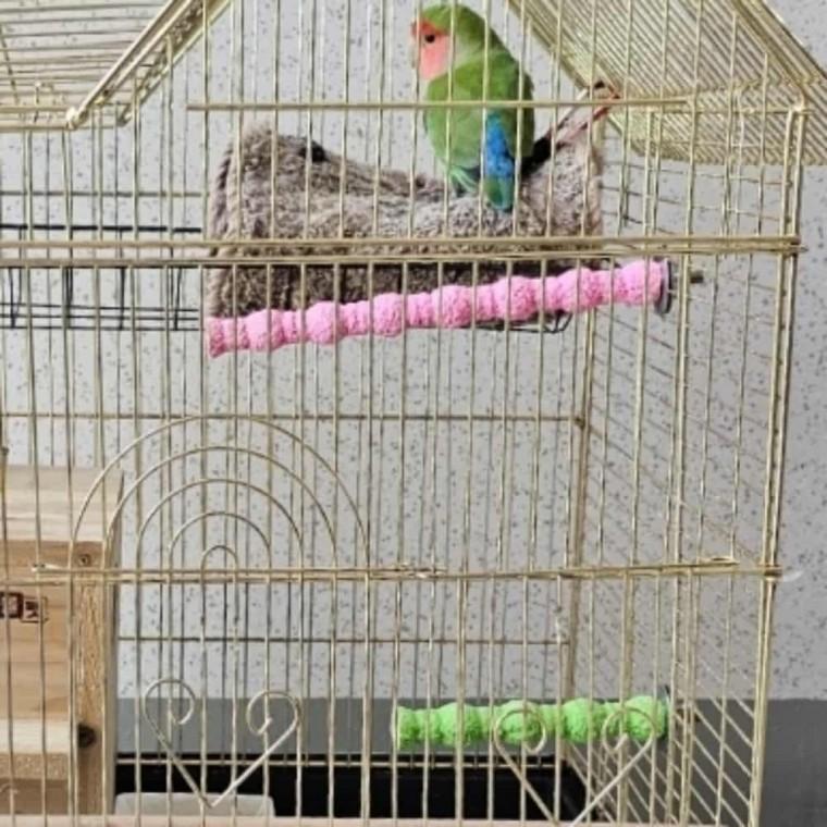 앵무새 횟대 대 앵무새발톱갈이횟대 새장소품 앵무새횟대나무 앵무새횟대대형 앵무새횃대
