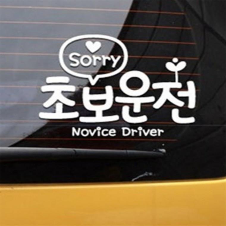 Sorry 초보운전스티커 초보운전스티커 반사 차량용안전스티커 글씨스티커 자동차반사스티커