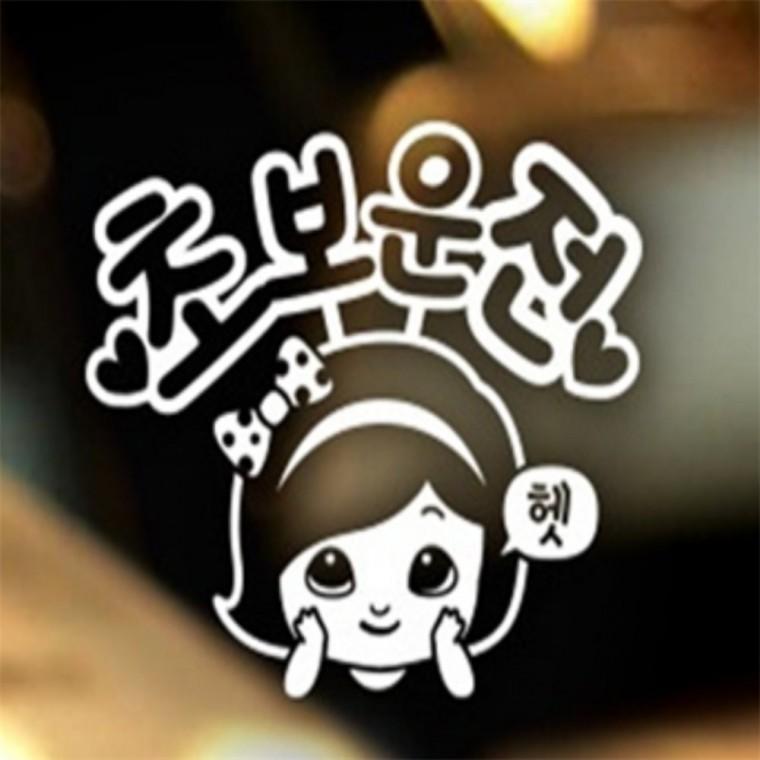 공순이의 초보운전스티커 반사 개초보 흰색 방수스티커