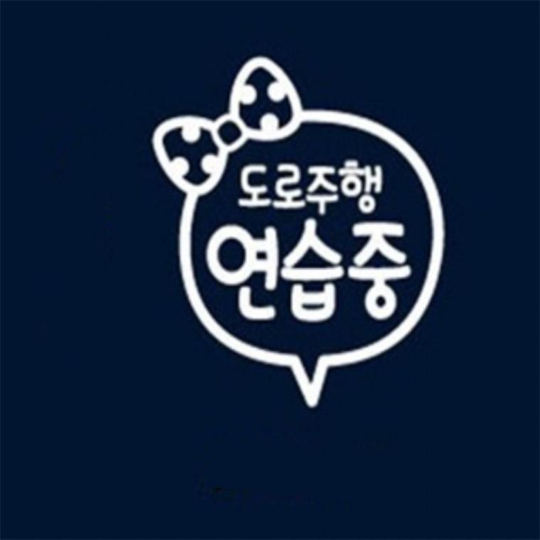 도로주행연습중 초보운전스티커 화이트 가로형 차량데칼스티커 차에붙이는스티커