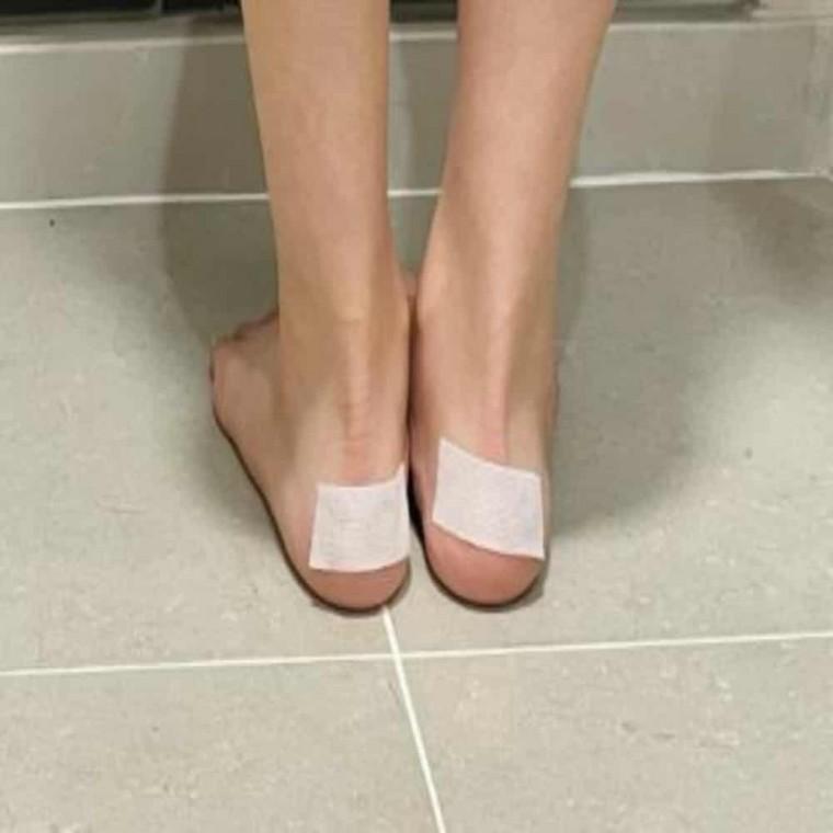 카라 테이프 8m 셔츠패드 넥카라패드 넥카라패치 넥카라테이프 목때테이프